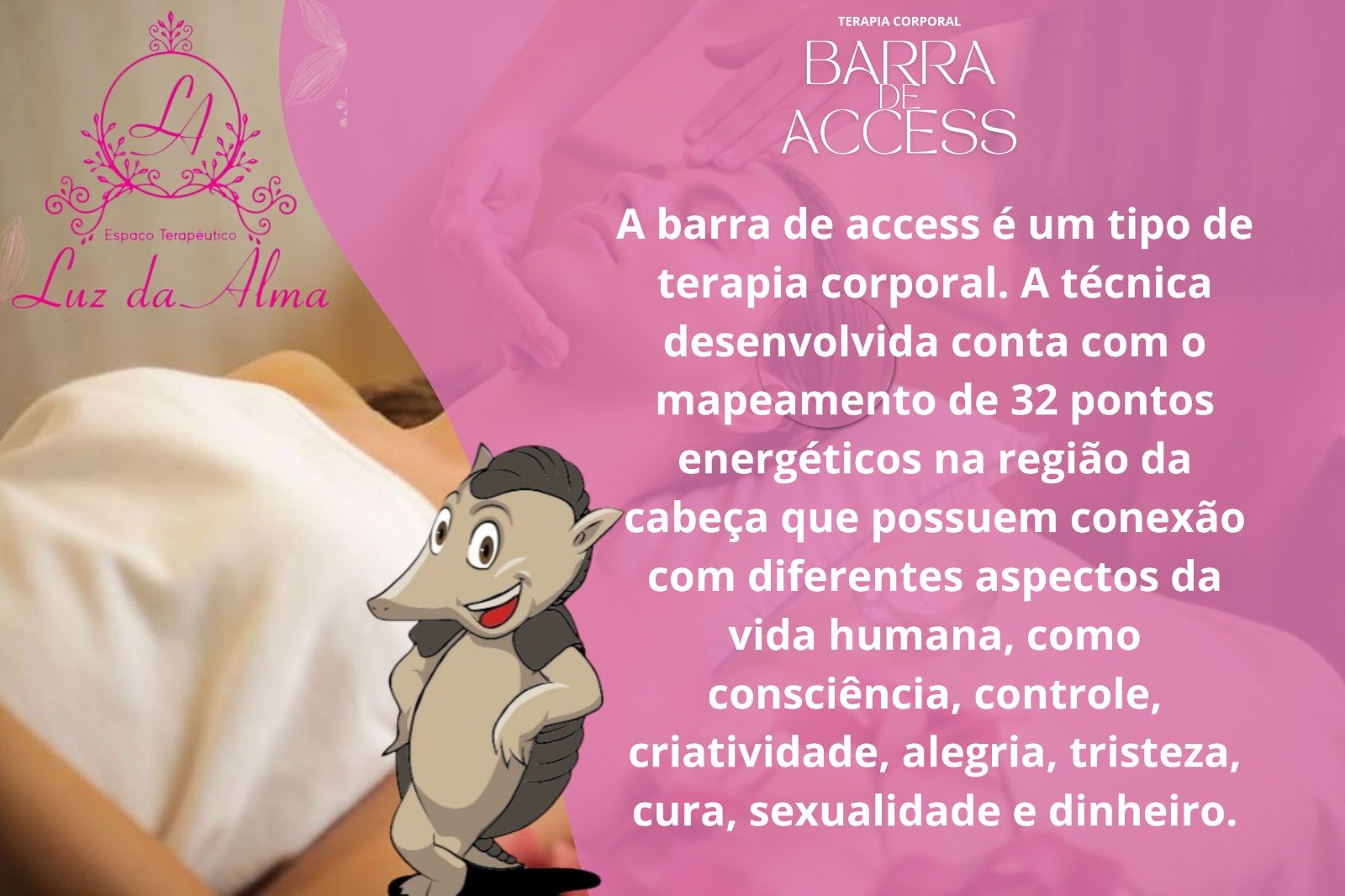 1 SESSÃO DE BARRAS DE ACCES