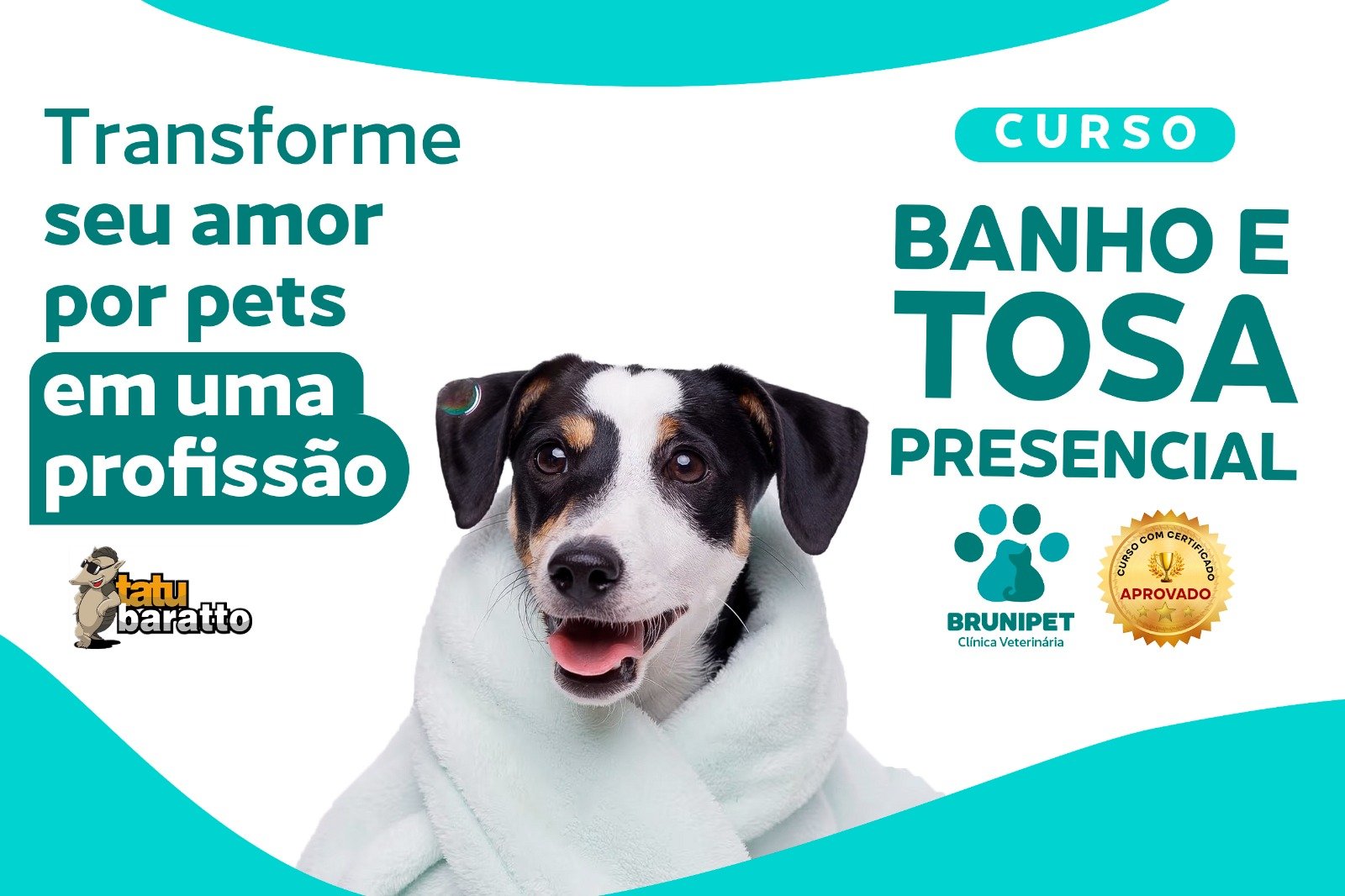 CURSO DE BANHO E TOSA PRESENCIAL DE 20 HORAS NO BRUNIPET